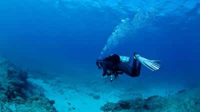 Diving