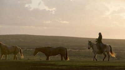 Horse Riding