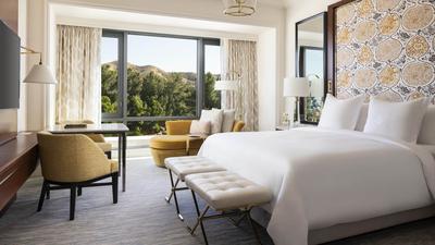 Waterfall-View Room