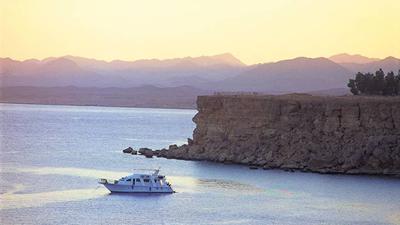 76 Nearby Dive Sites