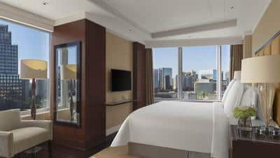 Ambassador Suite Skyline View