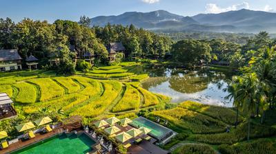 Four Seasons Resort Chiang Mai, Tropical Gardens