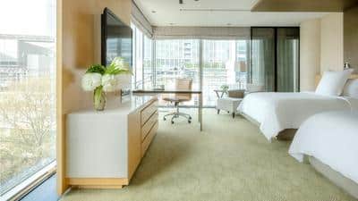 Deluxe Premier Room