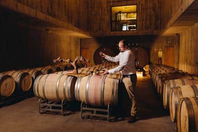 Winery
