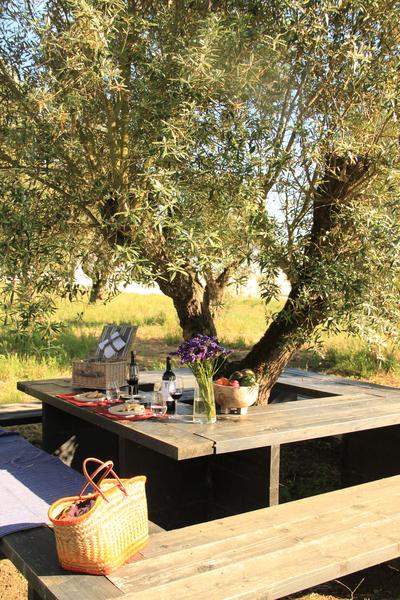 Picnic