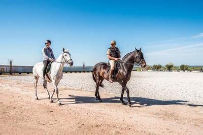 Horse Centre