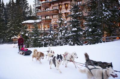 Dog Sledding