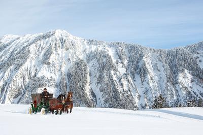 Horse Carriage Ride