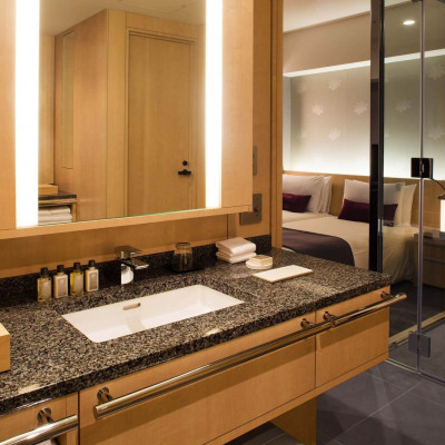 The Capitol Hotel Tokyu image