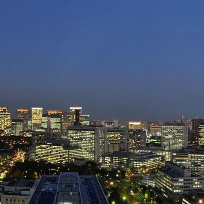 The Capitol Hotel Tokyu image
