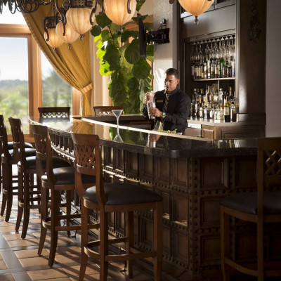 Rosen Shingle Creek image