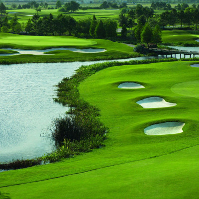 Rosen Shingle Creek image