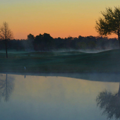 Rosen Shingle Creek image