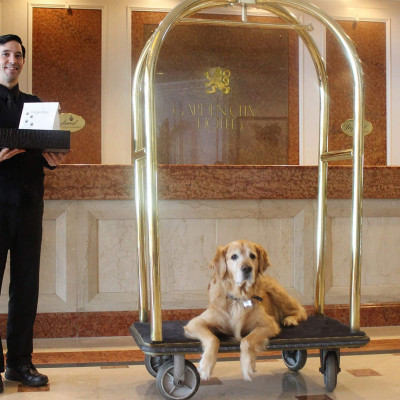 The Garden City Hotel image