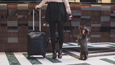 Pet Friendly