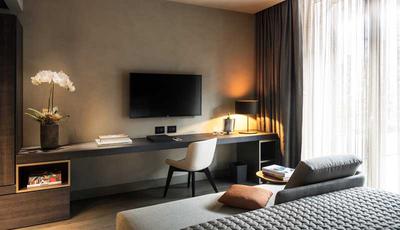King Deluxe Room / Terrace King Deluxe Room