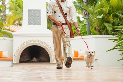 Pet Friendly