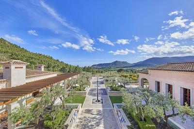 Ses Oliveres View