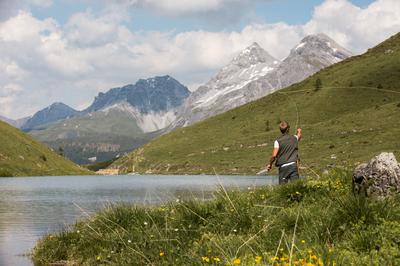 Fly Fishing