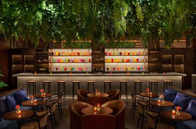 Cantina & Pisco Bar