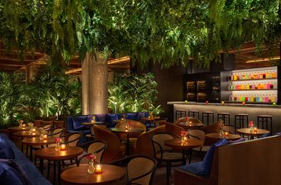 Cantina & Pisco Bar