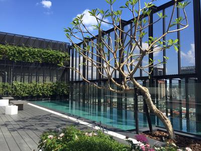 Rooftop Terrace Pool