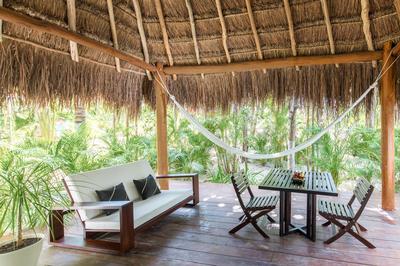 Jungle Suite