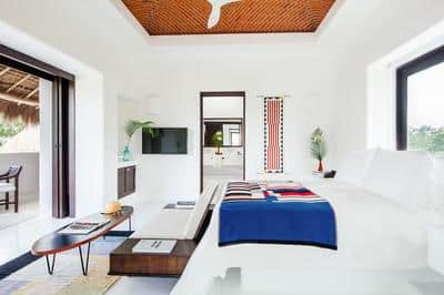 Master Jungle Suite