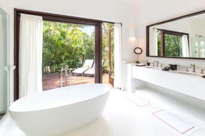 Jungle Suite