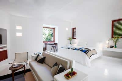 Jungle Suite