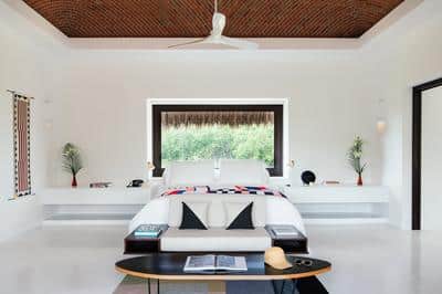 Master Jungle Suite