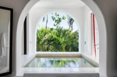Jungle Suite with Plunge Pool