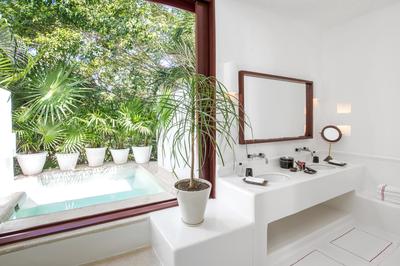Jungle Suite