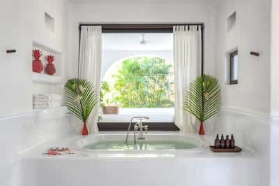 Master Jungle Suite