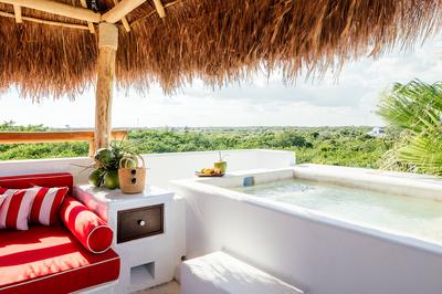 Master Jungle Suite