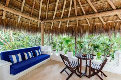 Jungle Suite