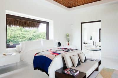 Master Jungle Suite