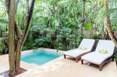 Jungle Suite with Plunge Pool