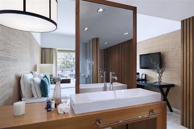 Deluxe Pool View Room