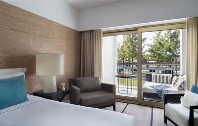 Deluxe Pool View Room