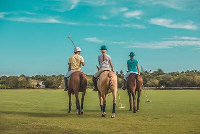 Equestrian