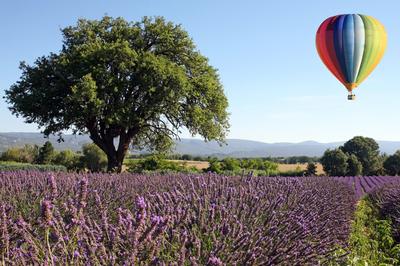 Hot Air Ballooning