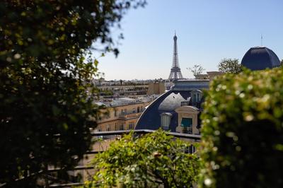 Eiffel Tower View
