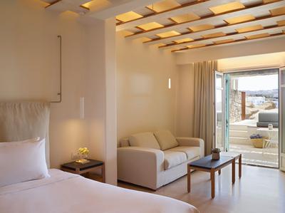 Deluxe Suite With Plunge Pool