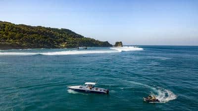 Boat Trips