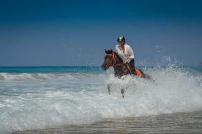 Horse Riding