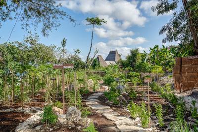Organic Garden