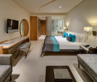Dreamer Room