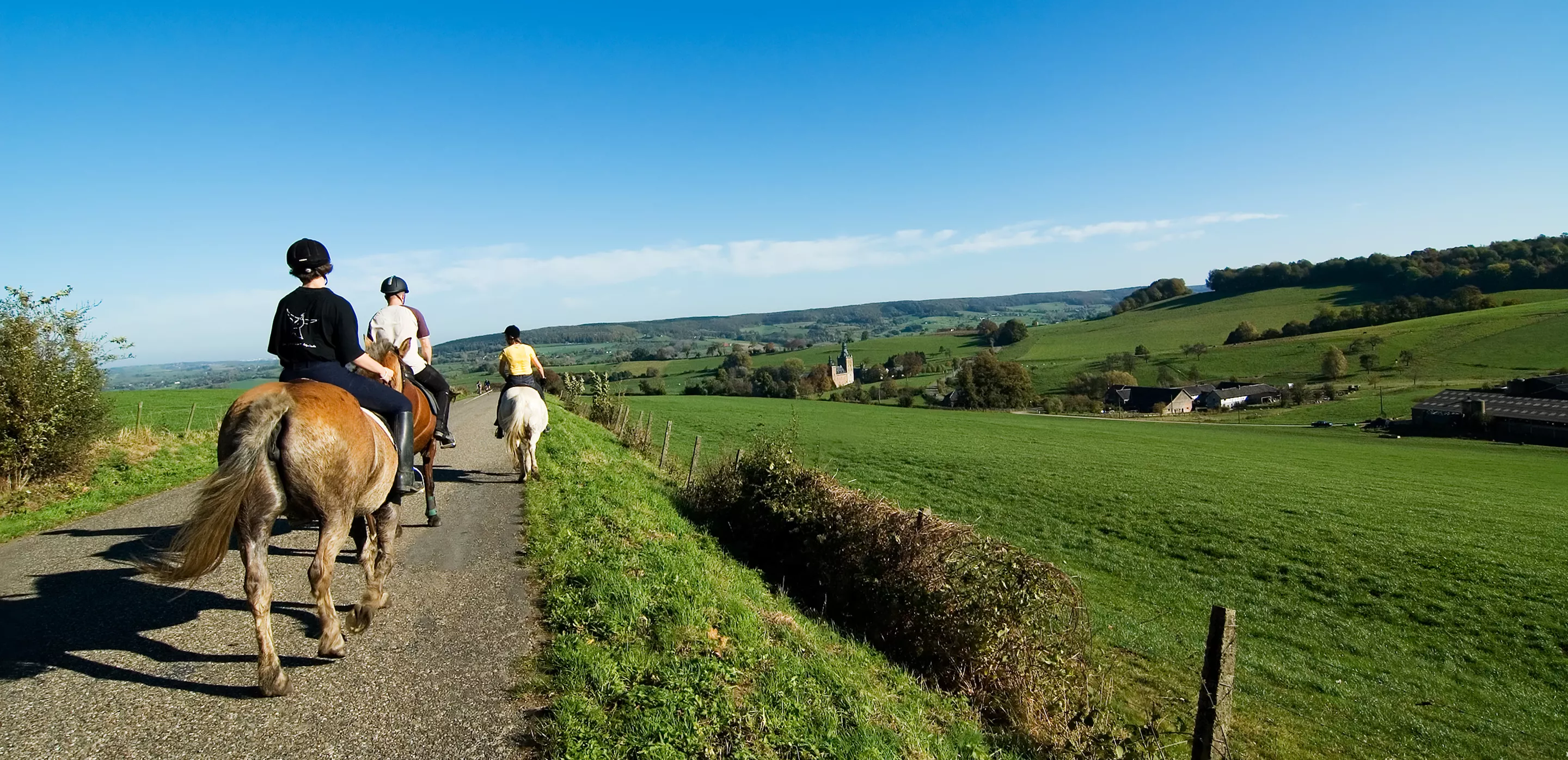 Horseback Riding