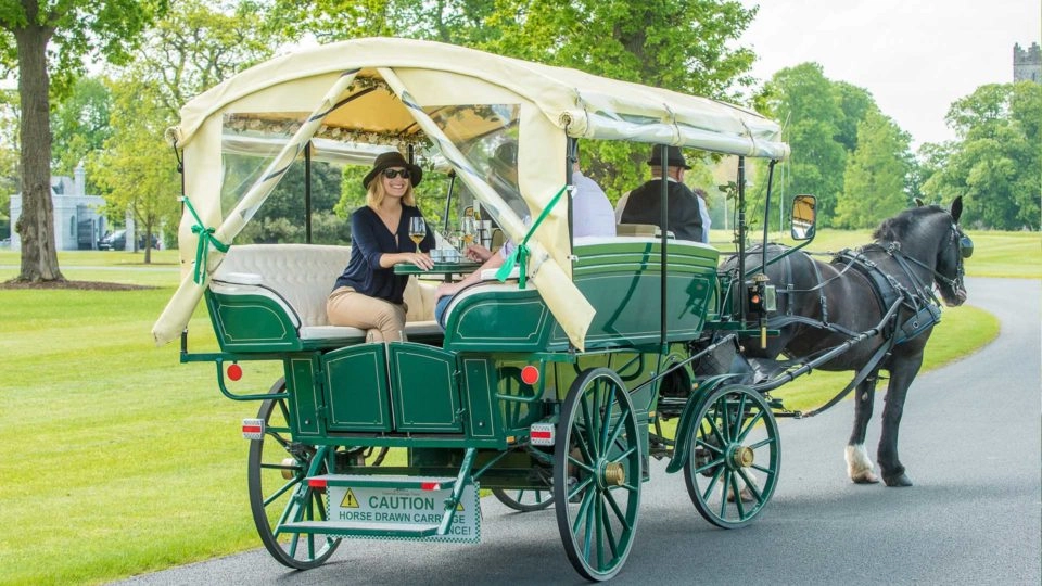 Horse Drawn Carriage